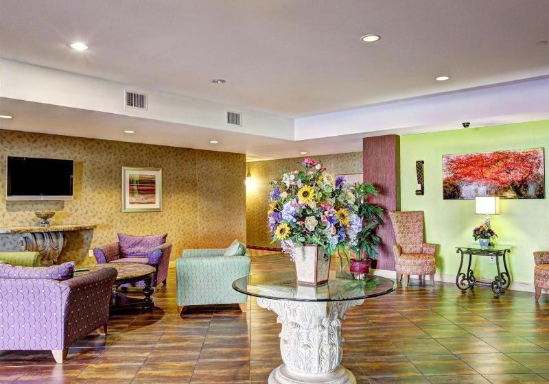 酒店 Comfort Suites