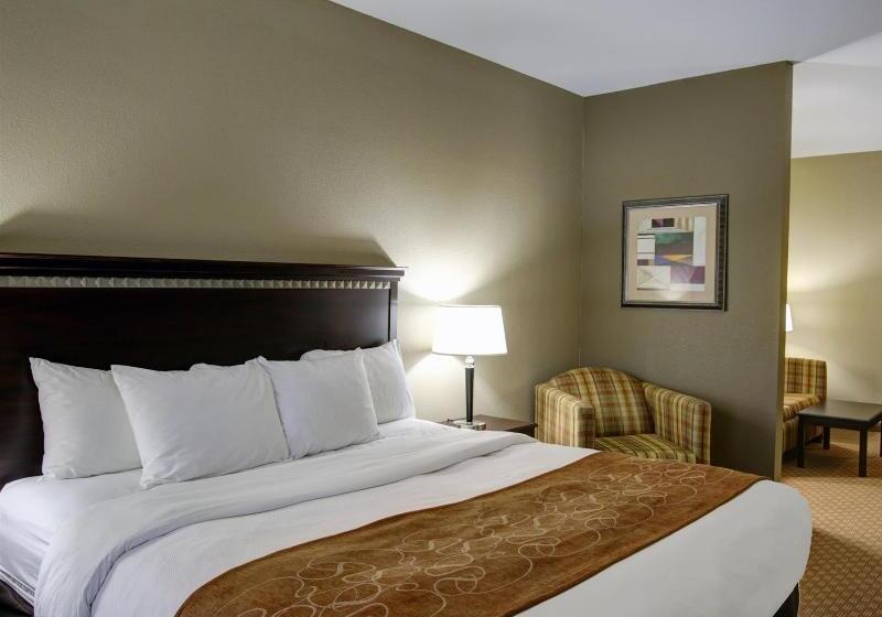 酒店 Comfort Suites