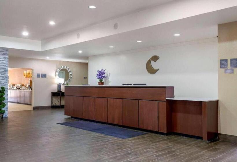 酒店 Comfort Suites