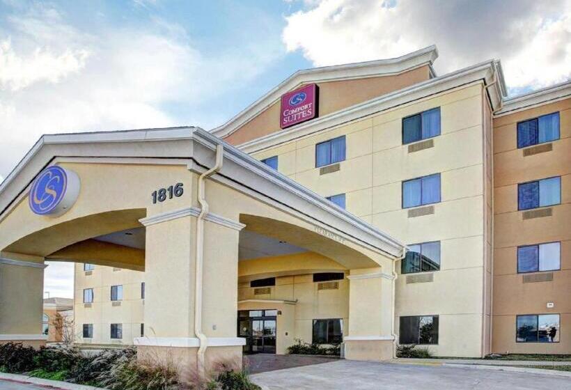 酒店 Comfort Suites