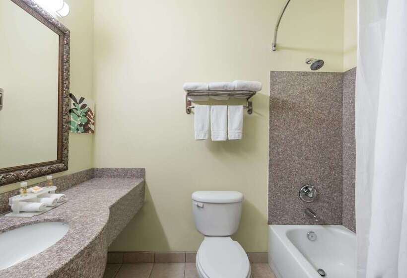 هتل Days Inn & Suites By Wyndham Cleburne Tx