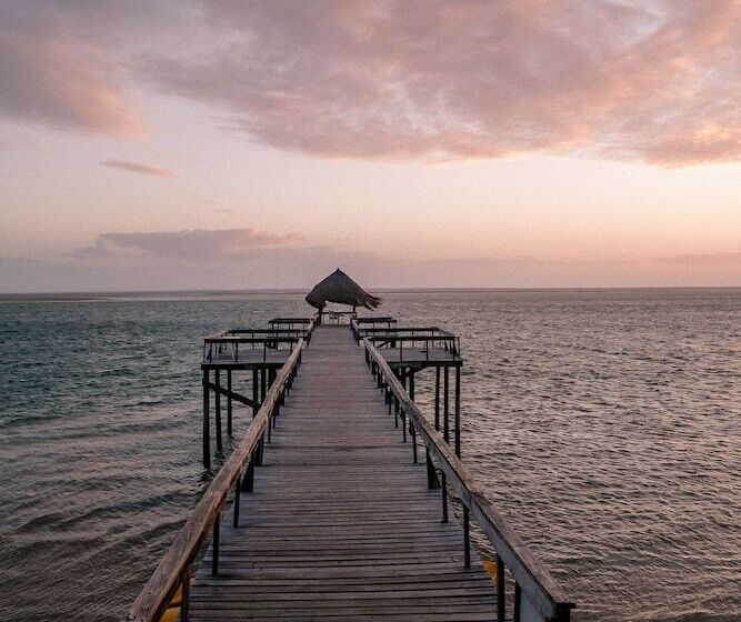 酒店 Dugong Beach Lodge