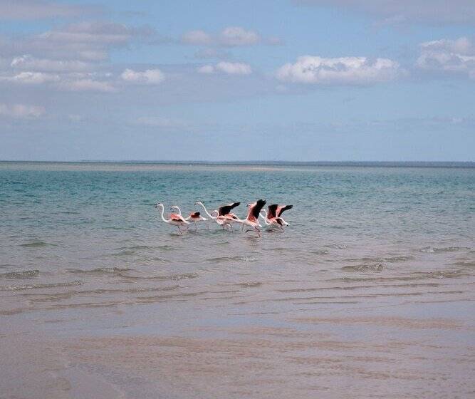 酒店 Dugong Beach Lodge