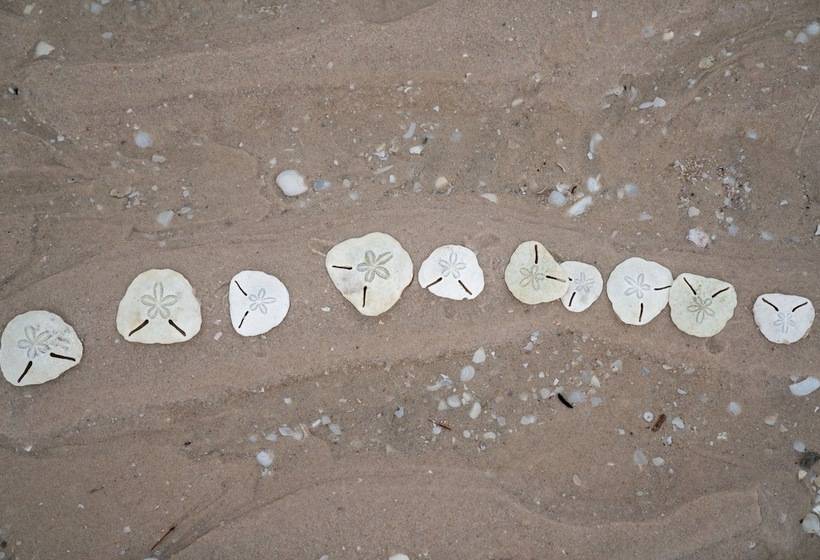 酒店 Dugong Beach Lodge