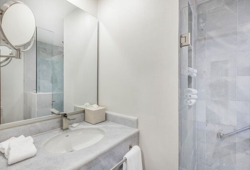 هتل Gamma Colima Garden