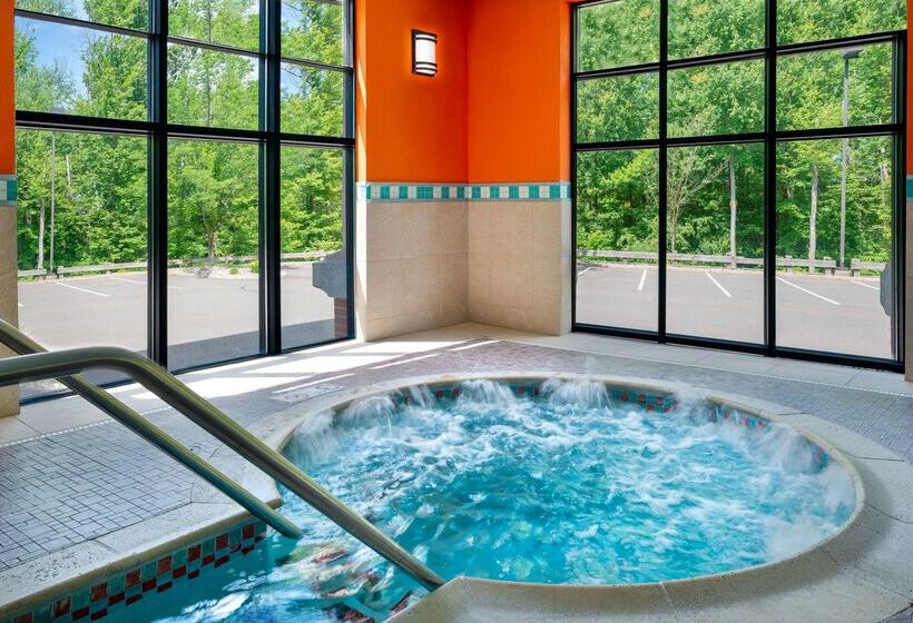 هتل Hampton Inn Springfield South Enfield