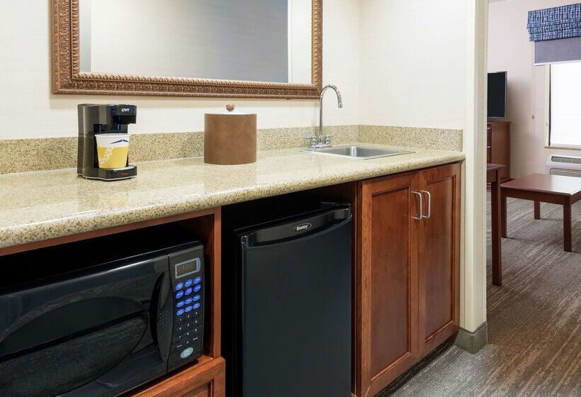 هتل Hampton Inn Springfield South Enfield