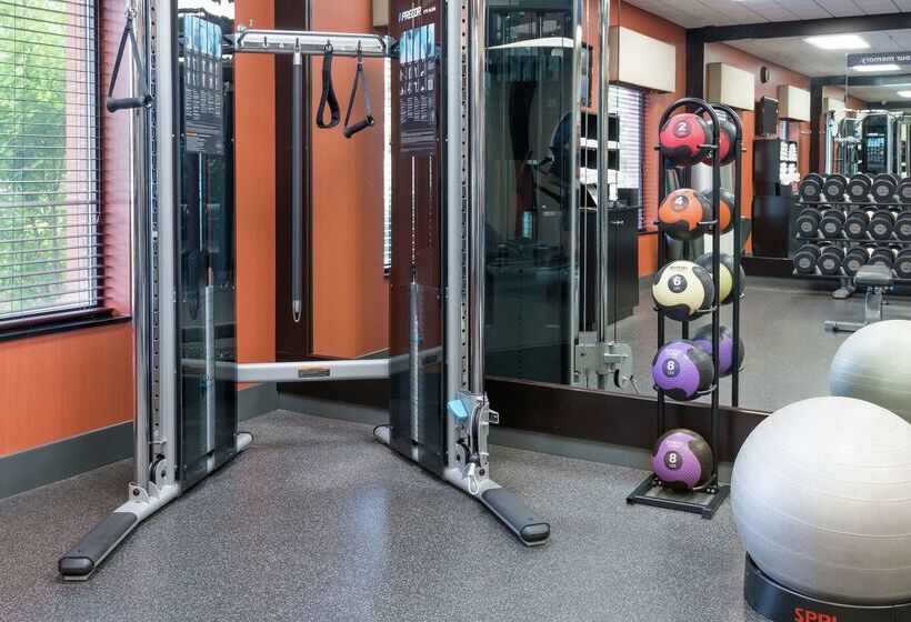 هتل Hampton Inn Springfield South Enfield