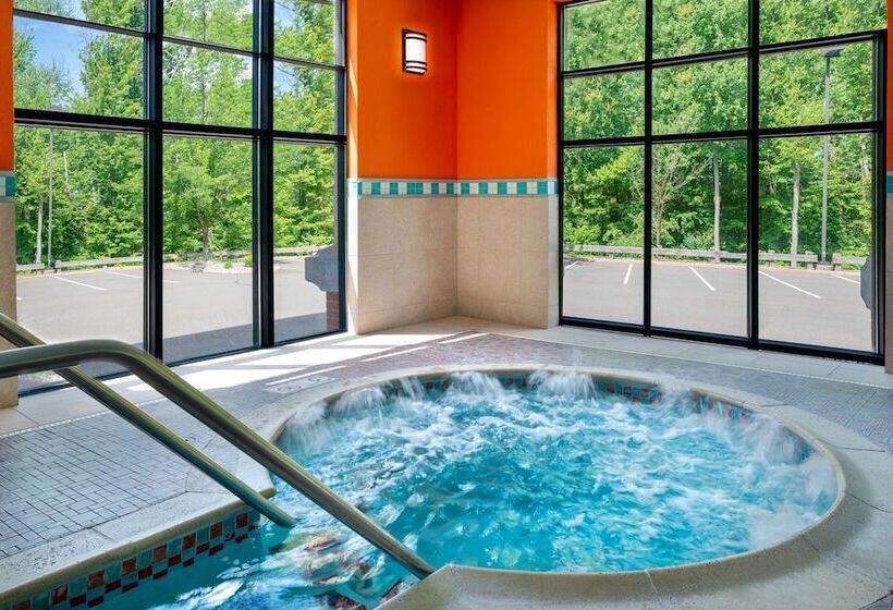 هتل Hampton Inn Springfield South Enfield