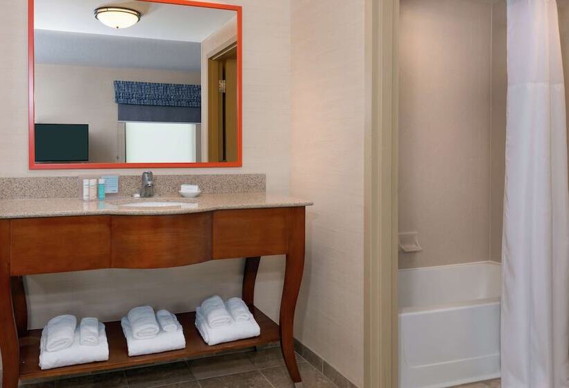 هتل Hampton Inn Springfield South Enfield