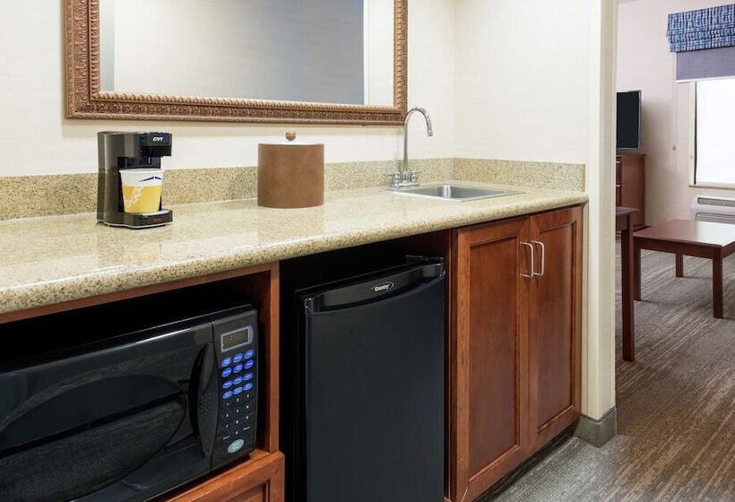 هتل Hampton Inn Springfield South Enfield