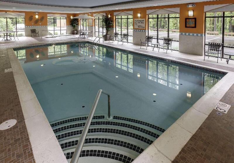 هتل Hampton Inn Springfield South Enfield