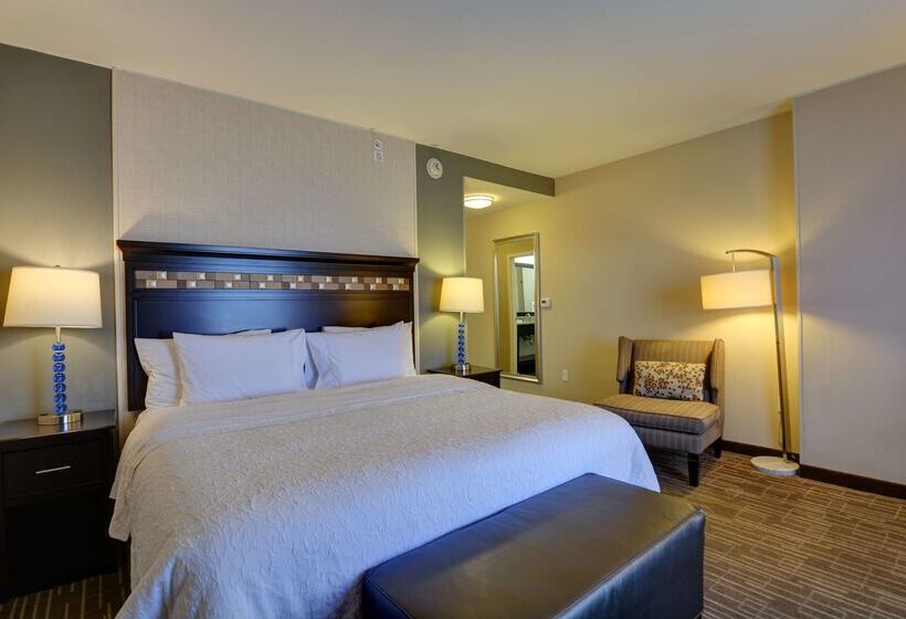 هتل Hampton Inn & Suites Denver/airportgateway Park