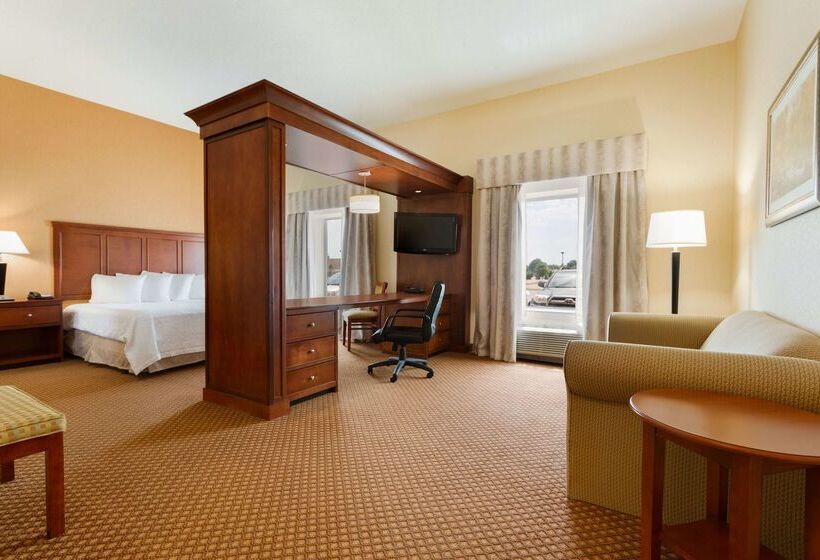 Отель Hampton Inn & Suites Detroit/chesterfield Township