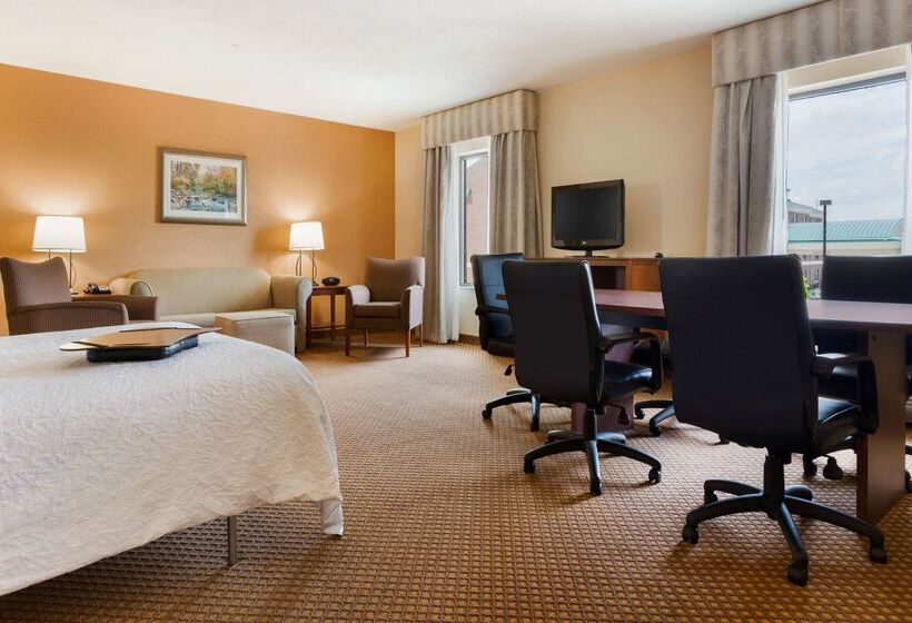 Отель Hampton Inn & Suites Detroit/chesterfield Township
