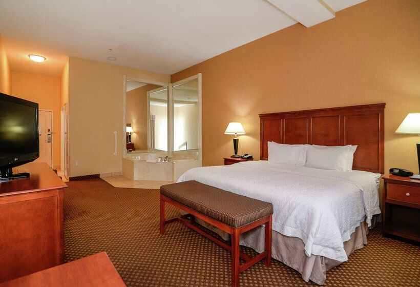 ホテル Hampton Inn & Suites Detroit/chesterfield Township