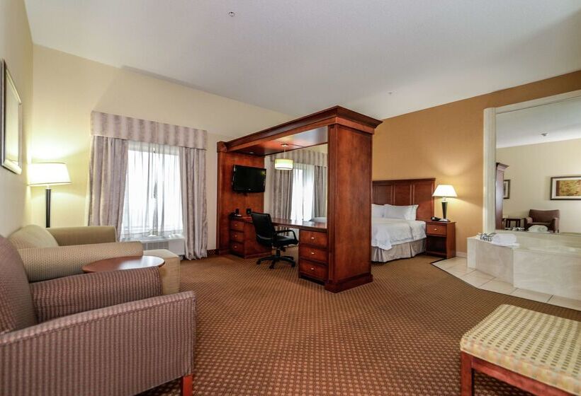 ホテル Hampton Inn & Suites Detroit/chesterfield Township