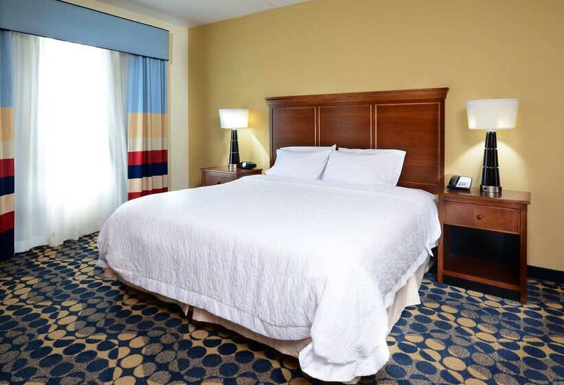 ホテル Hampton Inn & Suites Durham/north I85