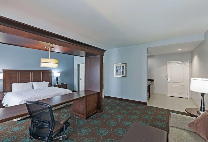 هتل Hampton Inn & Suites Shreveport/bossier City Airline Drive
