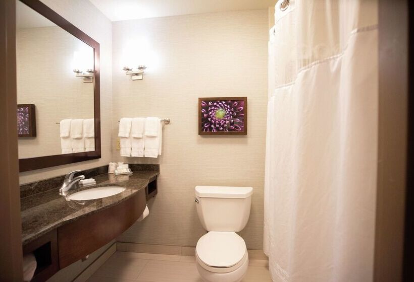 בית מלון כפרי Hilton Garden Inn Covington