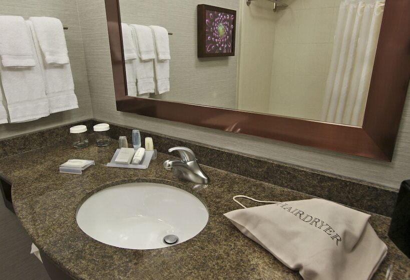 בית מלון כפרי Hilton Garden Inn Covington