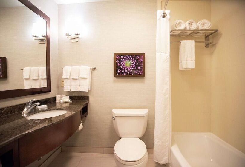 בית מלון כפרי Hilton Garden Inn Covington