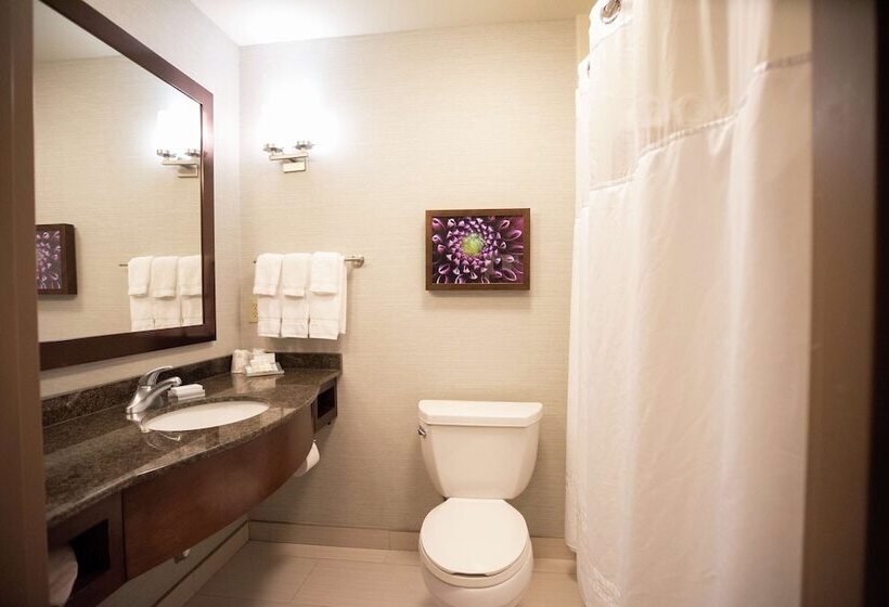 בית מלון כפרי Hilton Garden Inn Covington