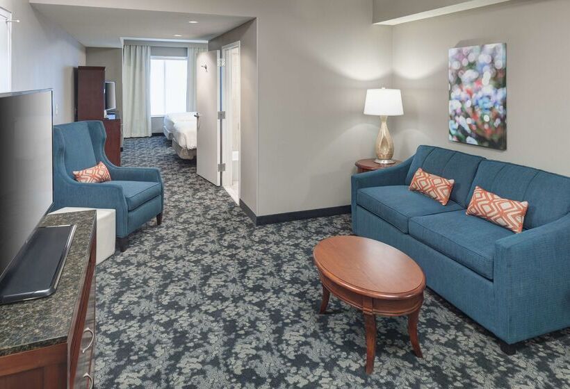 فندق Hilton Garden Inn Frisco