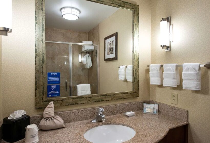 فندق Hilton Garden Inn Denton