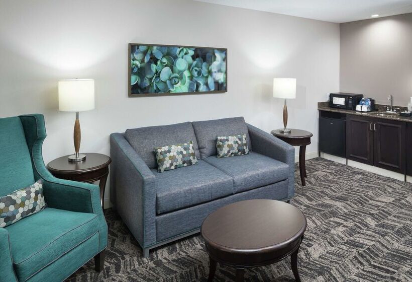 فندق Hilton Garden Inn Dothan