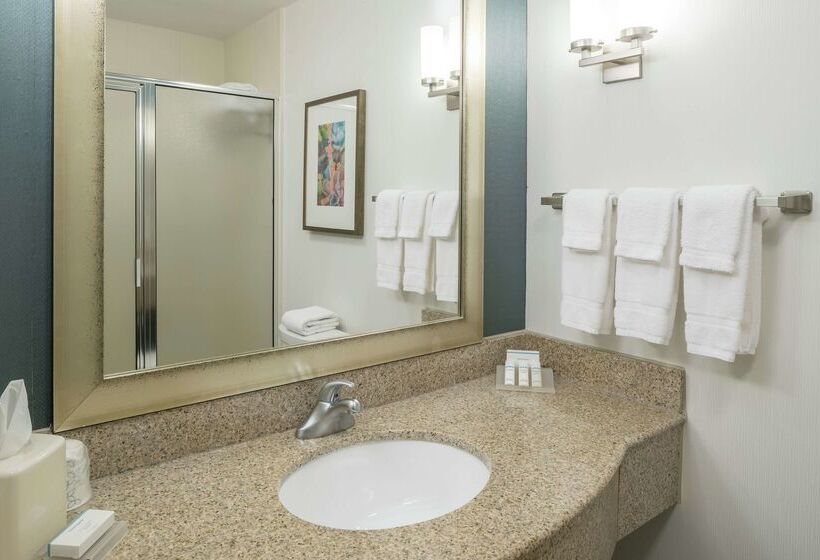 هتل Hilton Garden Inn Dothan