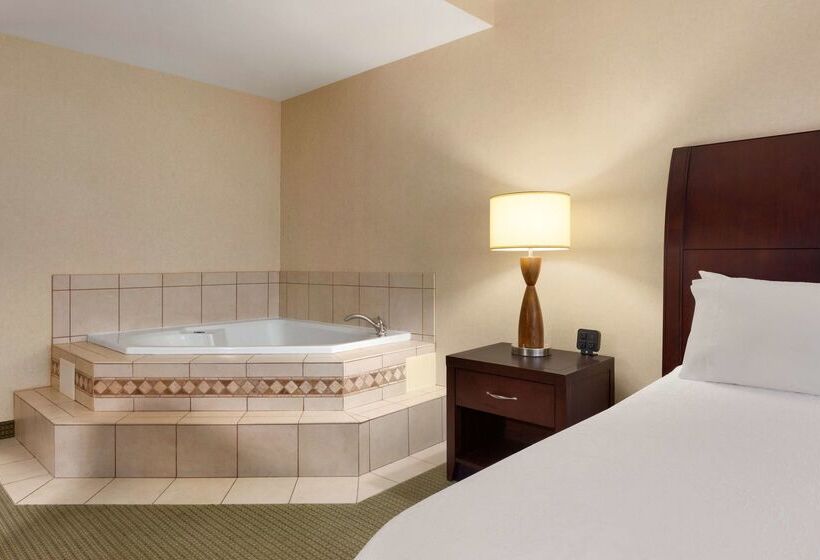 Отель Hilton Garden Inn Dulles North
