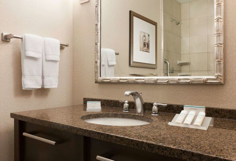 Отель Hilton Garden Inn Dulles North