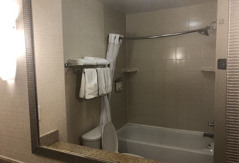 Holiday Inn Express Hotel & Suites Lansing Dimondale, An Ihg