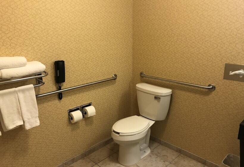 Holiday Inn Express Hotel & Suites Lansing Dimondale, An Ihg