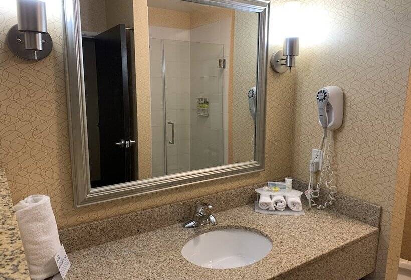 Holiday Inn Express Hotel & Suites Lansing Dimondale, An Ihg