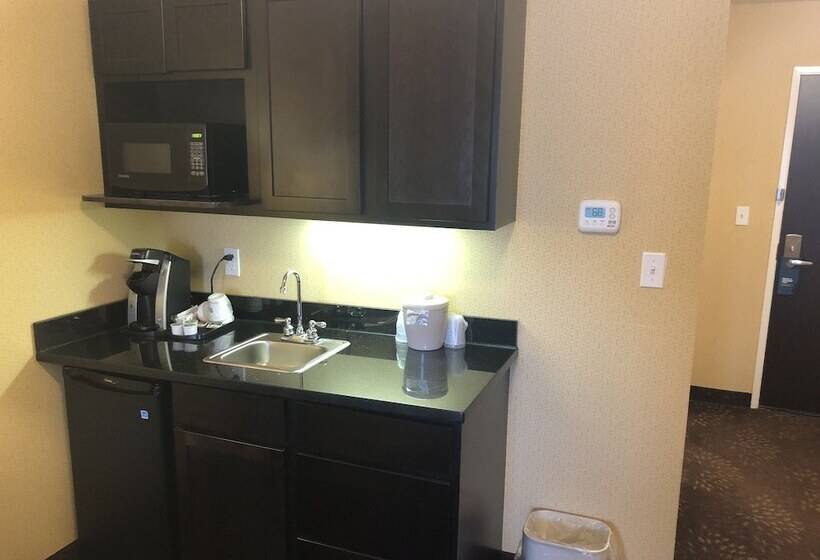 Holiday Inn Express Hotel & Suites Lansing Dimondale, An Ihg