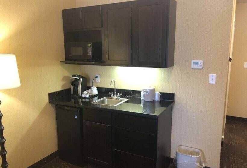 Holiday Inn Express Hotel & Suites Lansing Dimondale, An Ihg