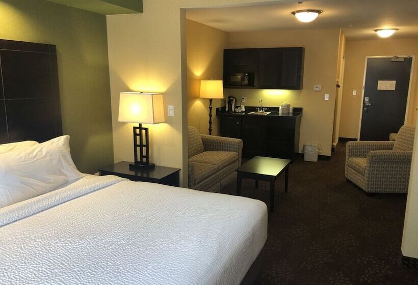 Holiday Inn Express Hotel & Suites Lansing Dimondale, An Ihg