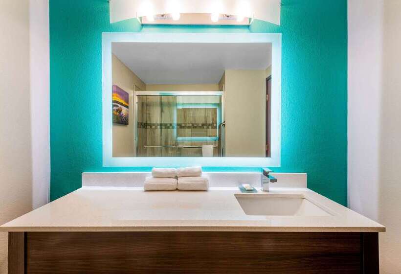 فندق La Quinta By Wyndham Batavia