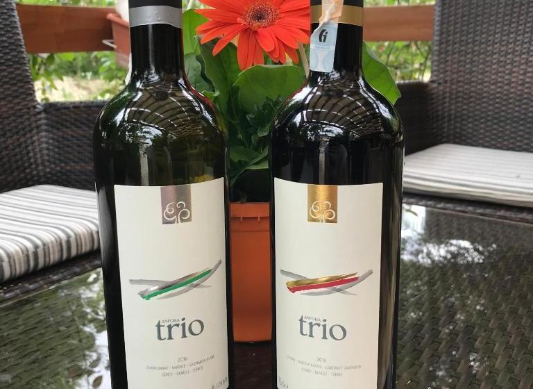 هتل Melrose House