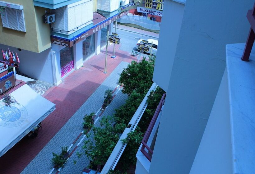 בית מלון כפרי Mola