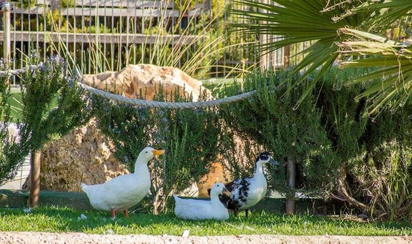 교외 호텔 Rural El Cortijo