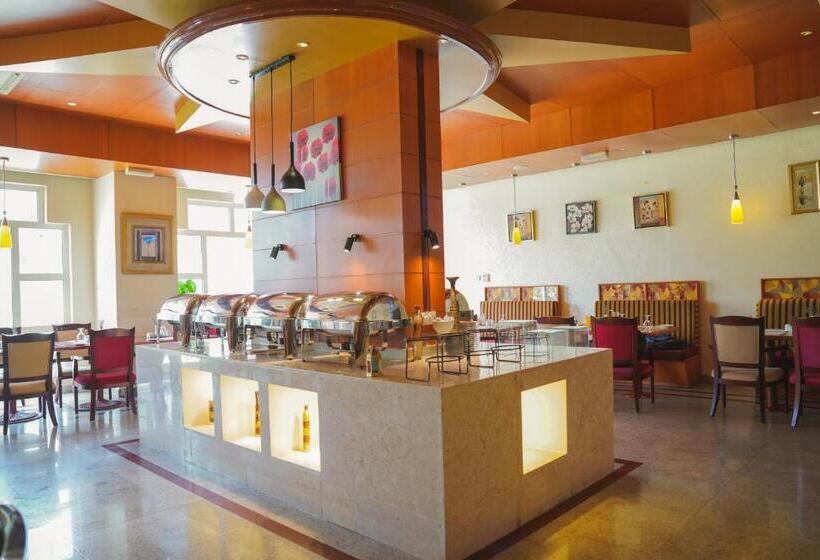 酒店 Safeer International