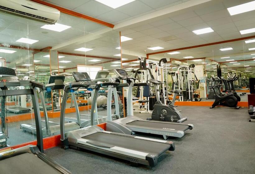 酒店 Safeer International