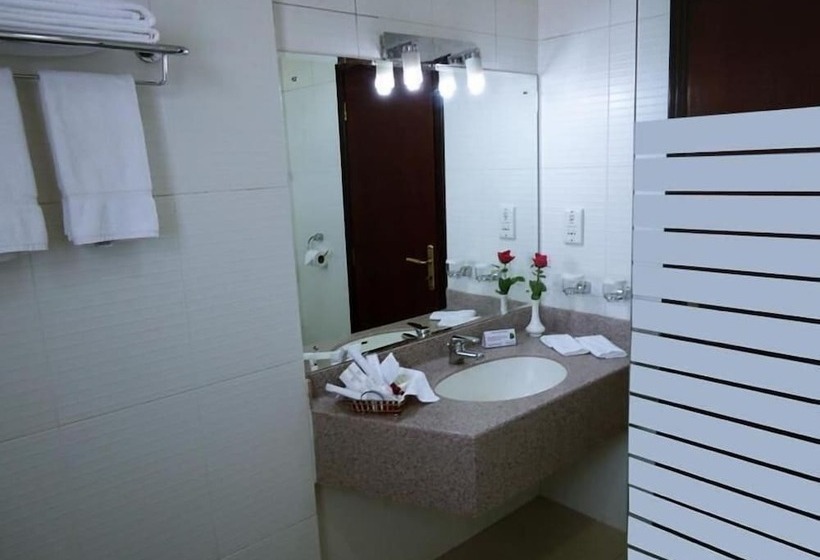 酒店 Safeer International