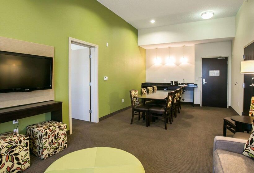 酒店 Sleep Inn & Suites
