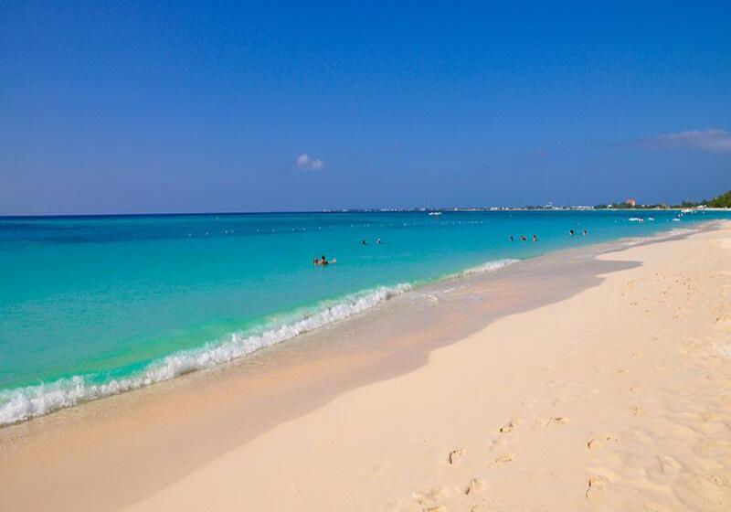 酒店 Sunshine Suites Resort