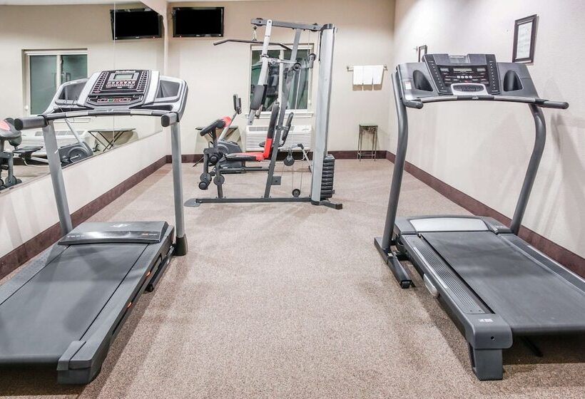 酒店 Super 8 By Wyndham Brenham Tx