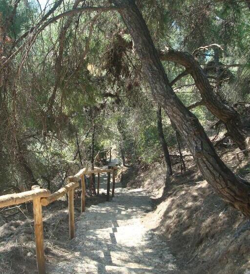 בית מלון כפרי Thea